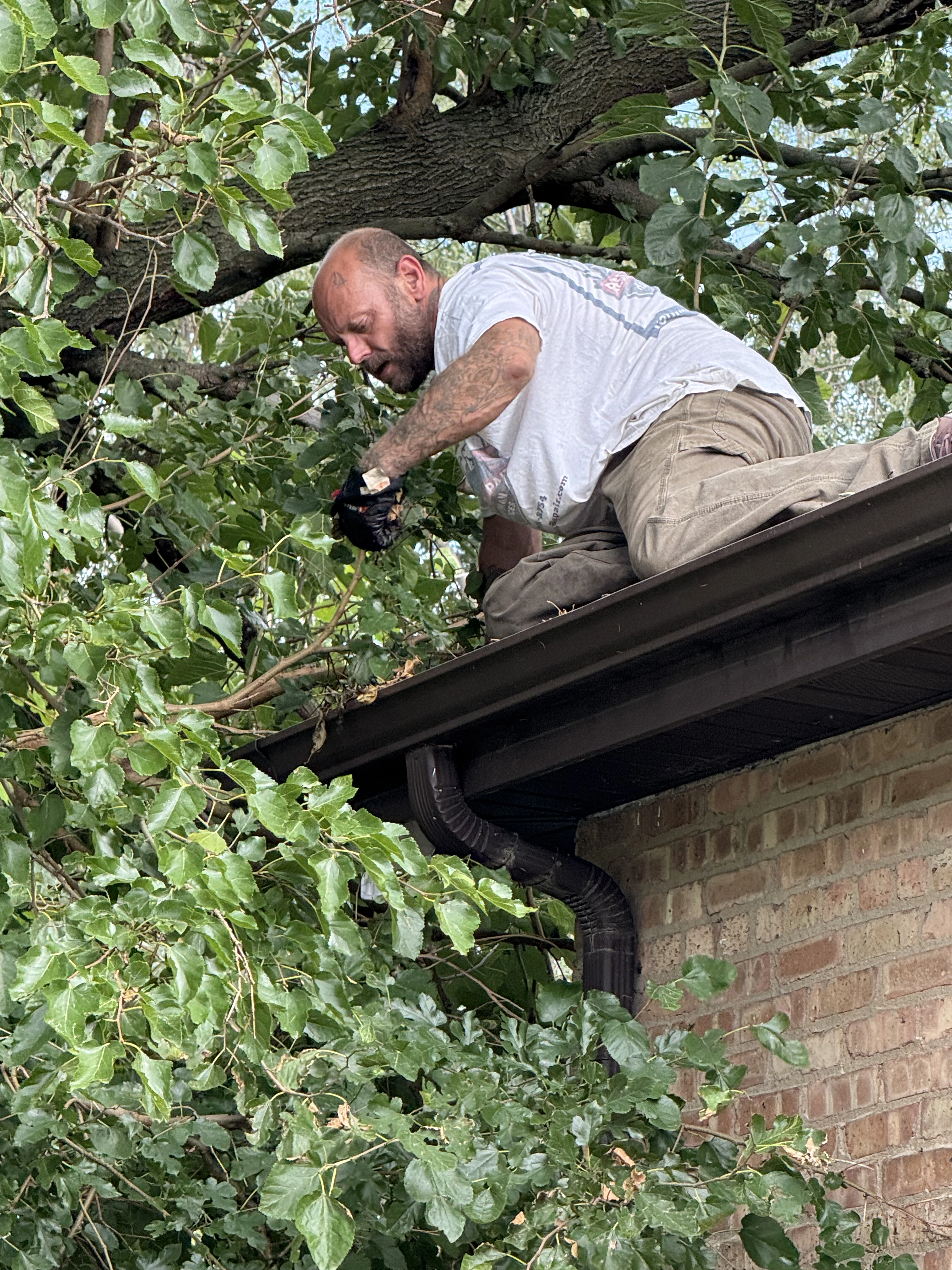 midlothian-il-gutter-cleaning-heritage-rescue-repair.webp
